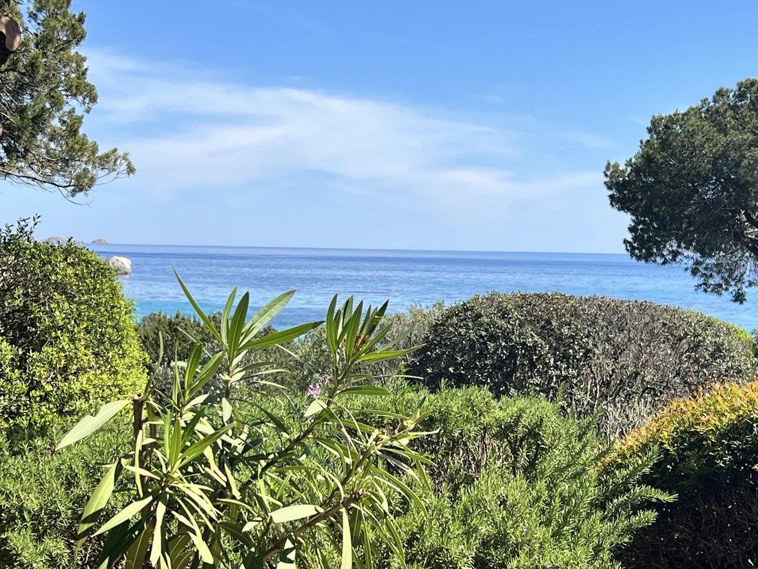 House in Porto-Vecchio, Corsica, France 2 - 16538818