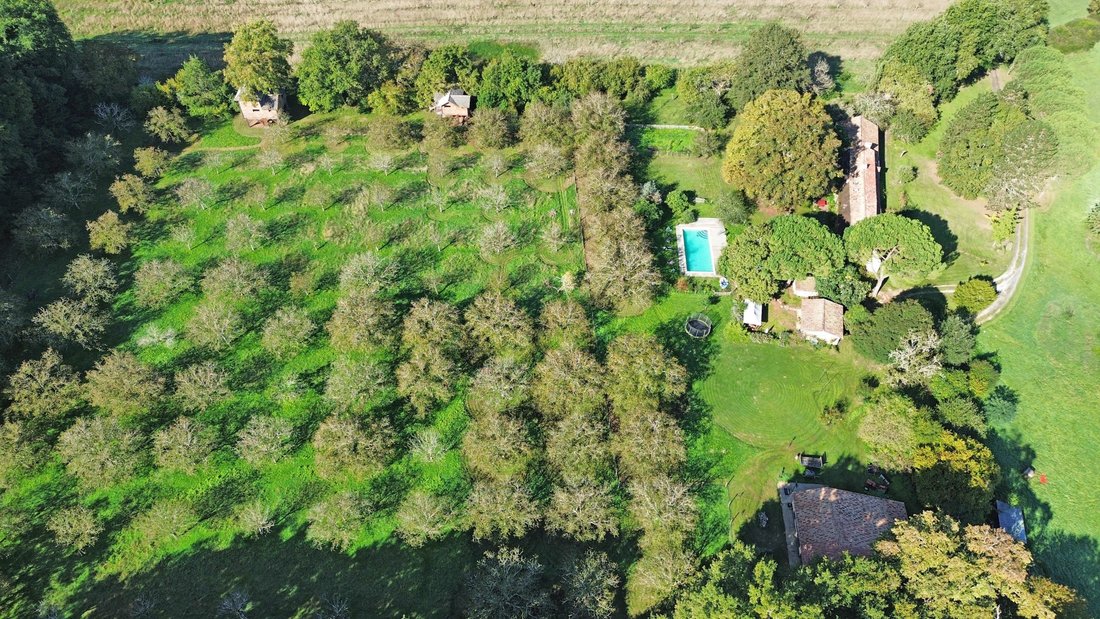 Estate in Cause-de-Clerans, Nouvelle-Aquitaine, France 4 - 16539372