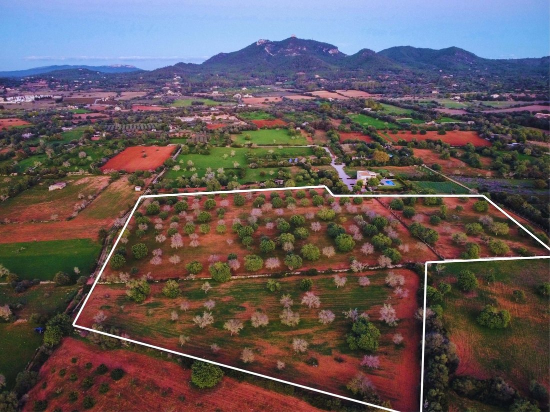 Land in Felanitx, Balearic Islands, Spain 4 - 16538396