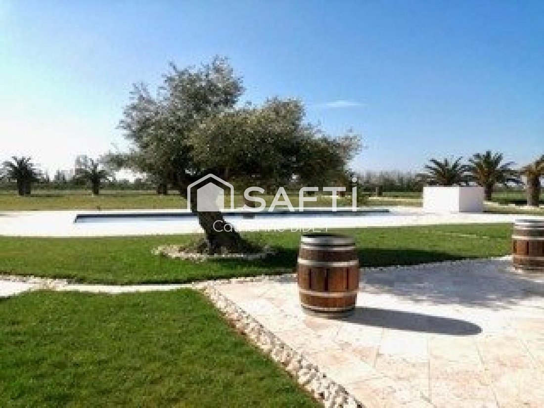 House in Aimargues, Occitania, France 3 - 16540103