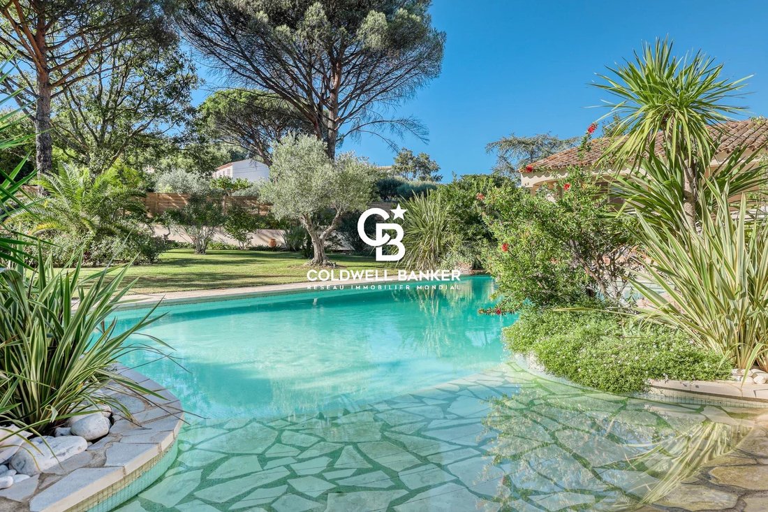 Villa in Nord, Cogolin, France 3 - 16539246