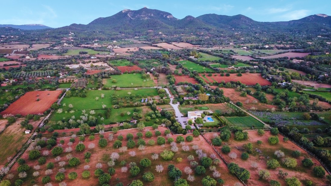 Land in Felanitx, Balearic Islands, Spain 5 - 16538396