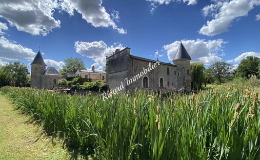 Castle for Sale in Thouars, Nouvelle-Aquitaine, France