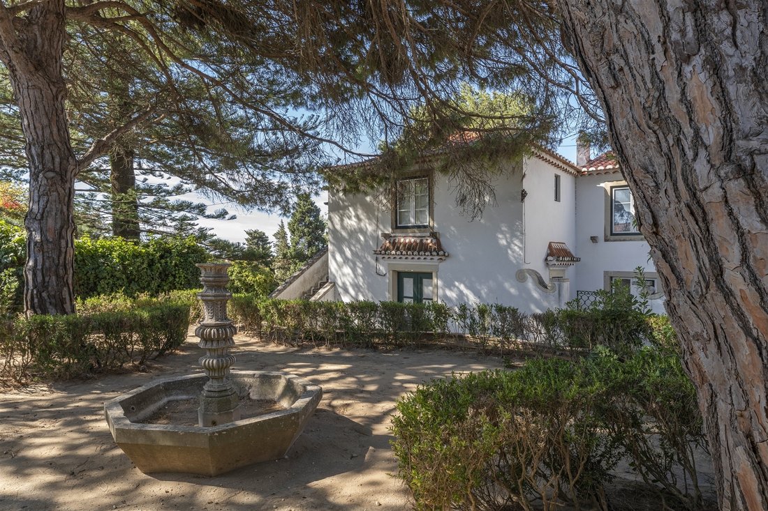 Farm Ranch in Carcavelos e Parede, Lisbon, Portugal 4 - 16540548