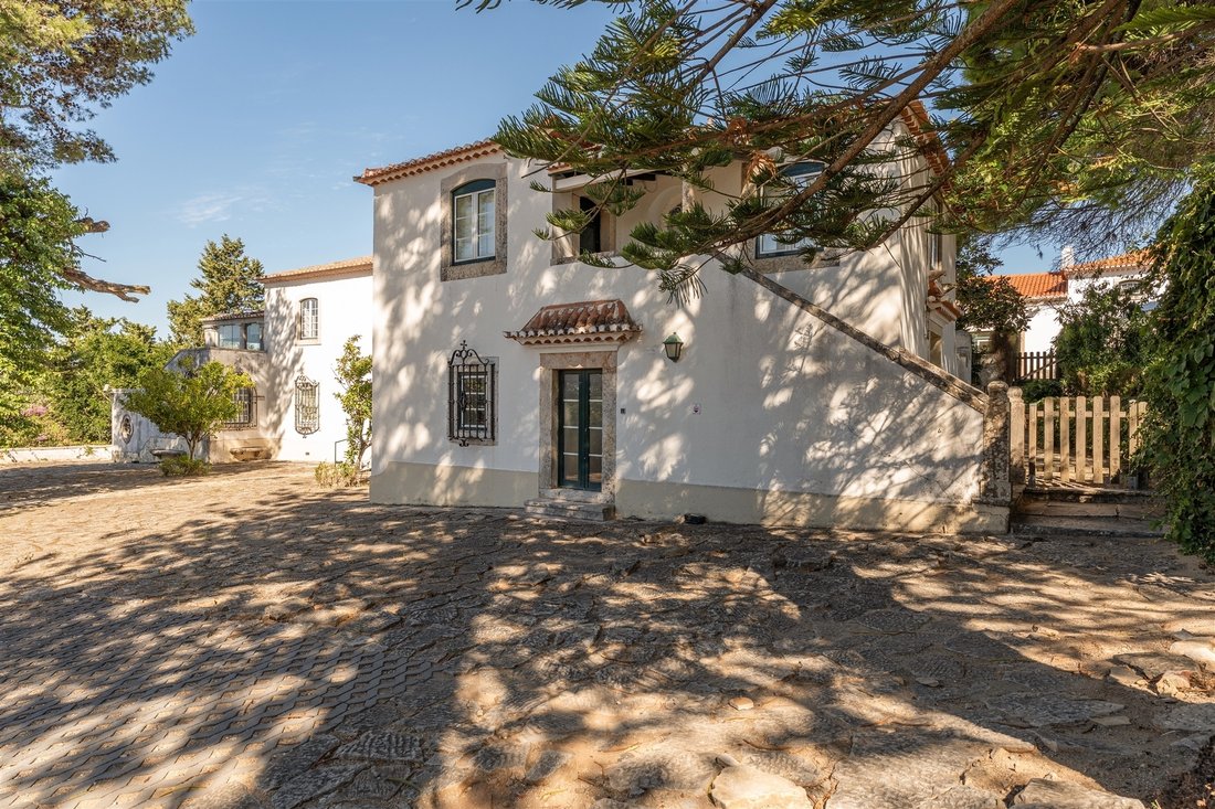 Farm Ranch in Carcavelos e Parede, Lisbon, Portugal 3 - 16540548