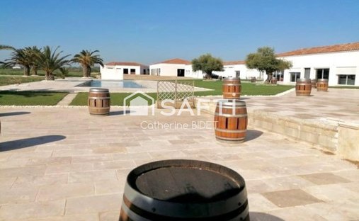 Sale Of Equestrian Estate Aimargues, 260m² 6 Rooms 1,050,000€ With Swimming Pool