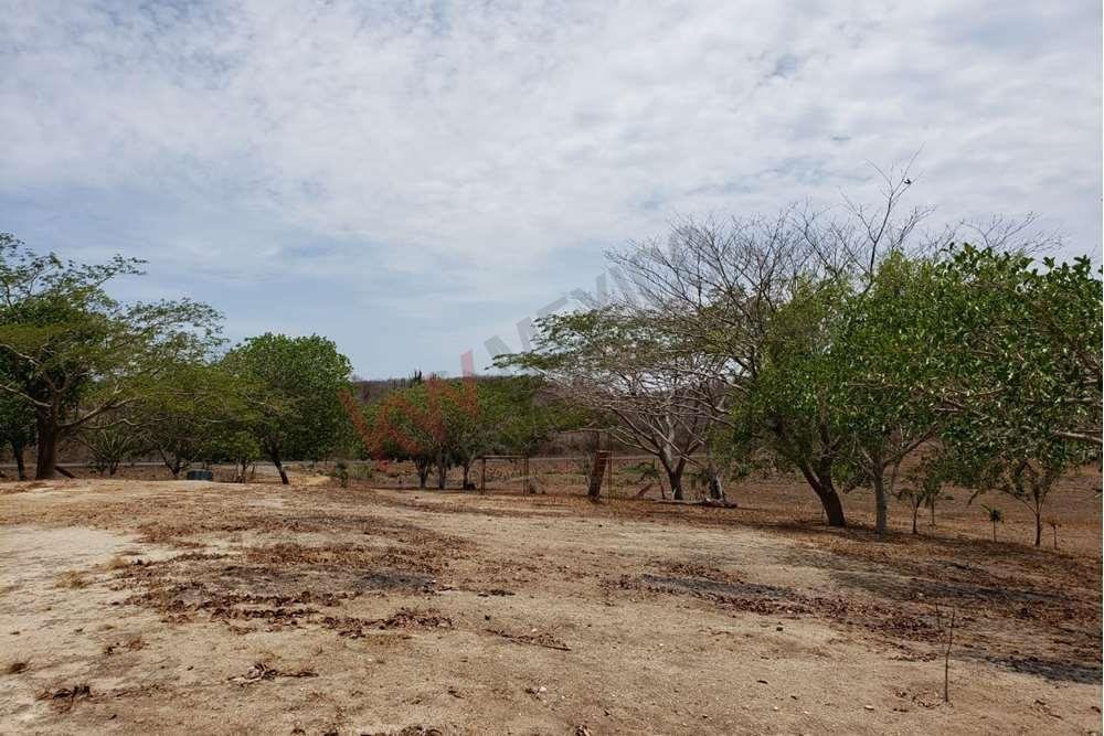 Land in El Capirato, Sinaloa, Mexico 5 - 16543715