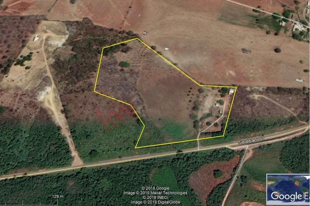 Land in El Capirato, Sinaloa, Mexico 1 - 16543715