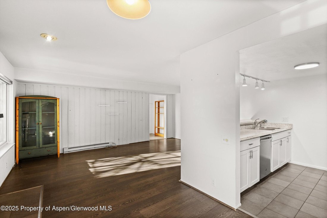 Condo in Snowmass Village, Colorado, United States 5 - 16543392