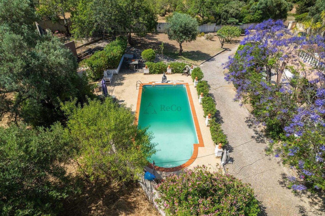 Villa in Santa Barbara de Nexe, Algarve, Portugal 5 - 16544610