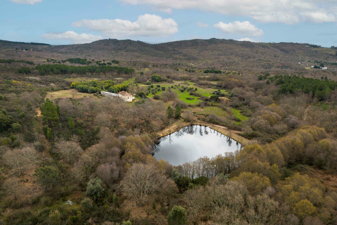 Farm Ranch in Capinha, Castelo Branco District, Portugal 4 - 16544858