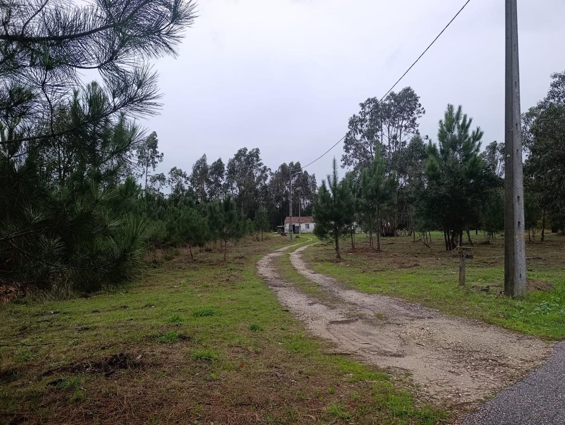 Marinha Grande, Leiria District, Portugal 4 - 14875436