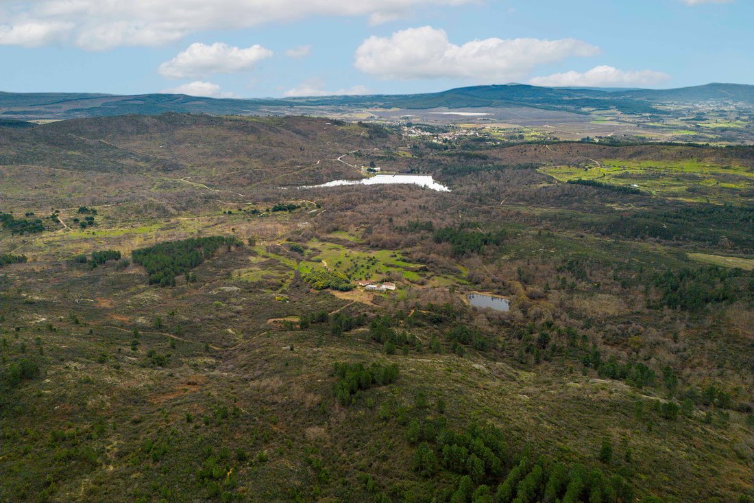 Farm Ranch in Capinha, Castelo Branco District, Portugal 2 - 16544858