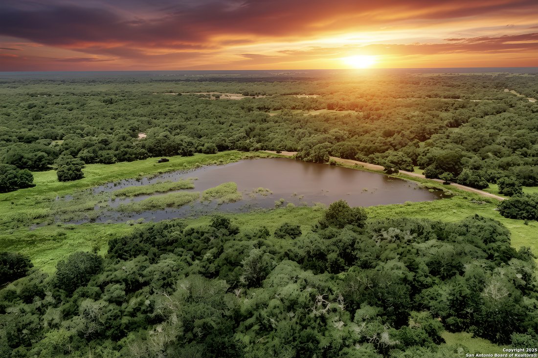 Farm Ranch in Yoakum, Texas, United States 1 - 16547903