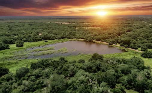 Farm Ranch in Yoakum, Texas, United States 1