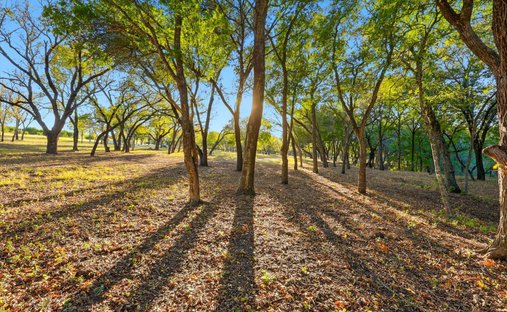Terrain à Aledo, Texas, États-Unis 1