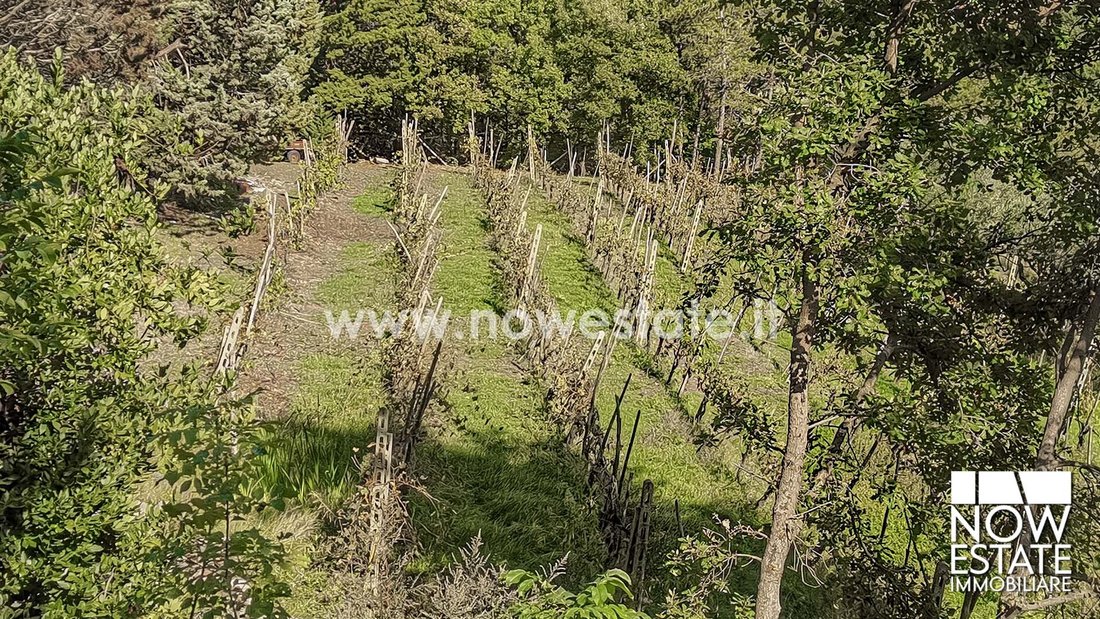 Country House in Sansepolcro, Tuscany, Italy 5 - 16554153