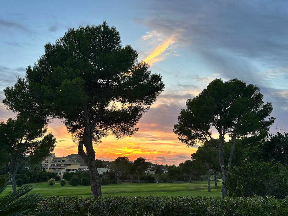 Apartment in Rotes Velles, Calvia, Balearic Islands 4 - 16540574