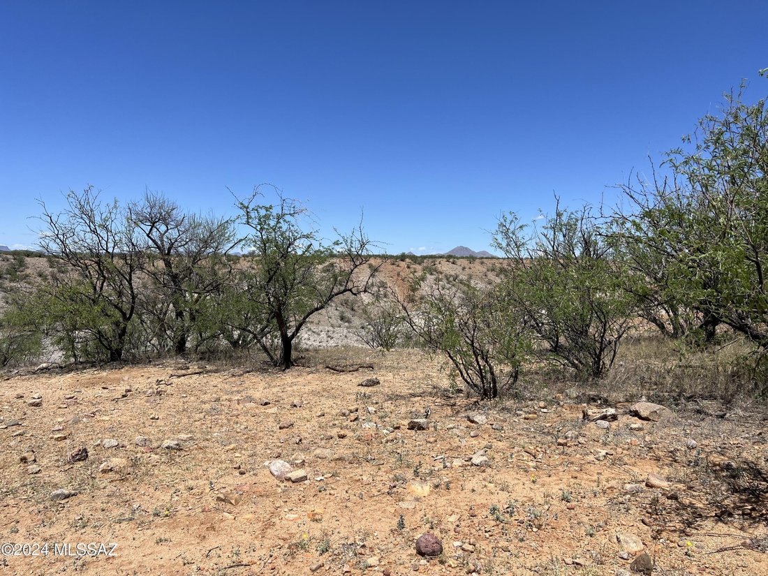 Farm Ranch in Nogales, Arizona, United States 4 - 16546185