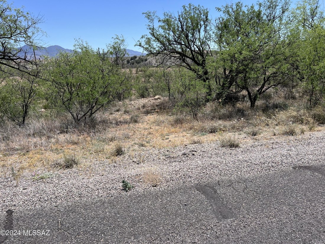 Farm Ranch in Nogales, Arizona, United States 3 - 16546185