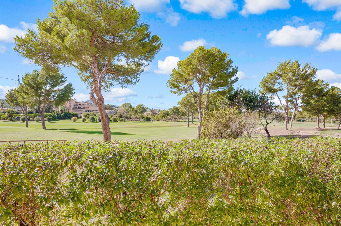 Apartment in Rotes Velles, Calvia, Balearic Islands 3 - 16540574