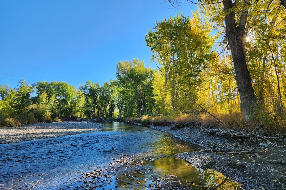 Land in Mackay, Idaho, United States 3 - 16549085