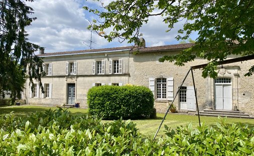 Chateau in Saint-Andre-de-Lidon, Nouvelle-Aquitaine, France 1