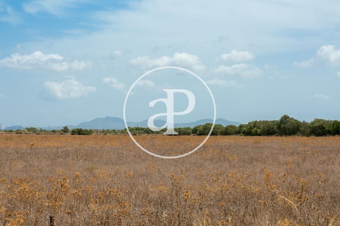 Land in Campos, Balearische Inseln, Spanien 4 - 16549049