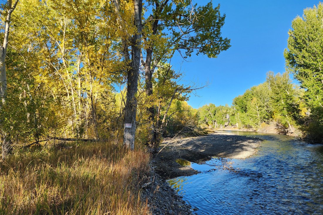 Land in Mackay, Idaho, United States 5 - 16549085