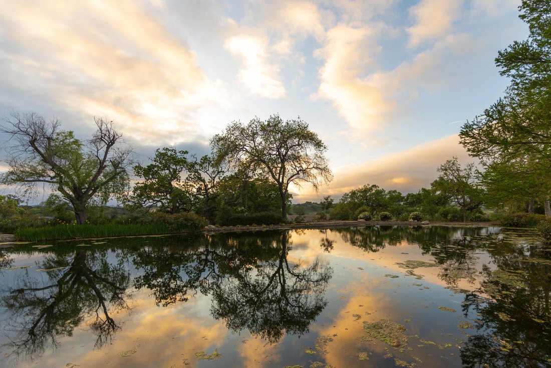 House in Los Olivos, California, United States 3 - 16551573