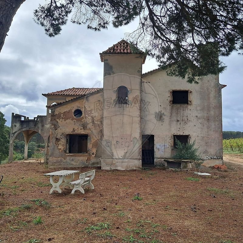 Finca in Cadaval e Pero Moniz, Lisbon, Portugal 4 - 16550738