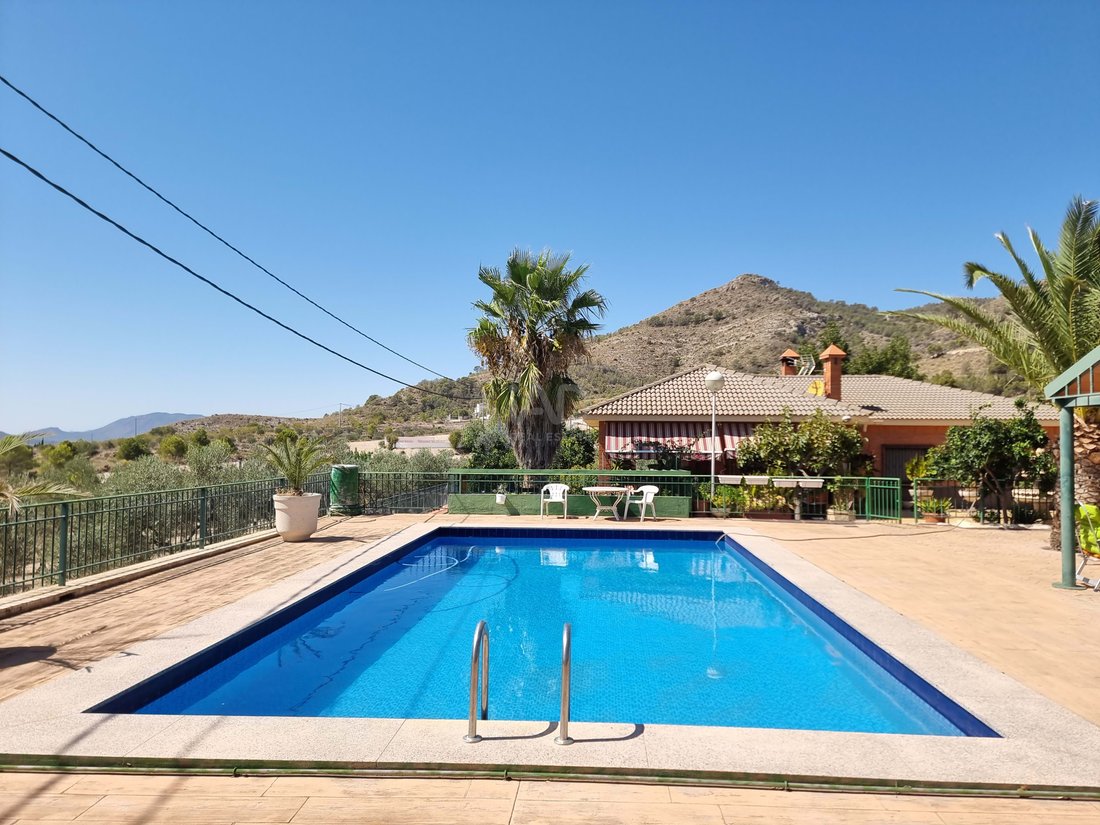 Chalet in Sax, Valencian Community, Spain 4 - 16284004
