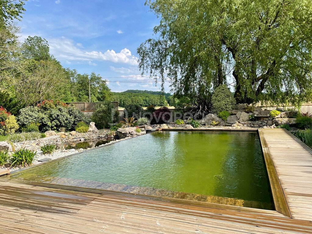 House in Virginie-Castetarbe-Batiplex-Moutete, Orthez, France 4 - 16545175