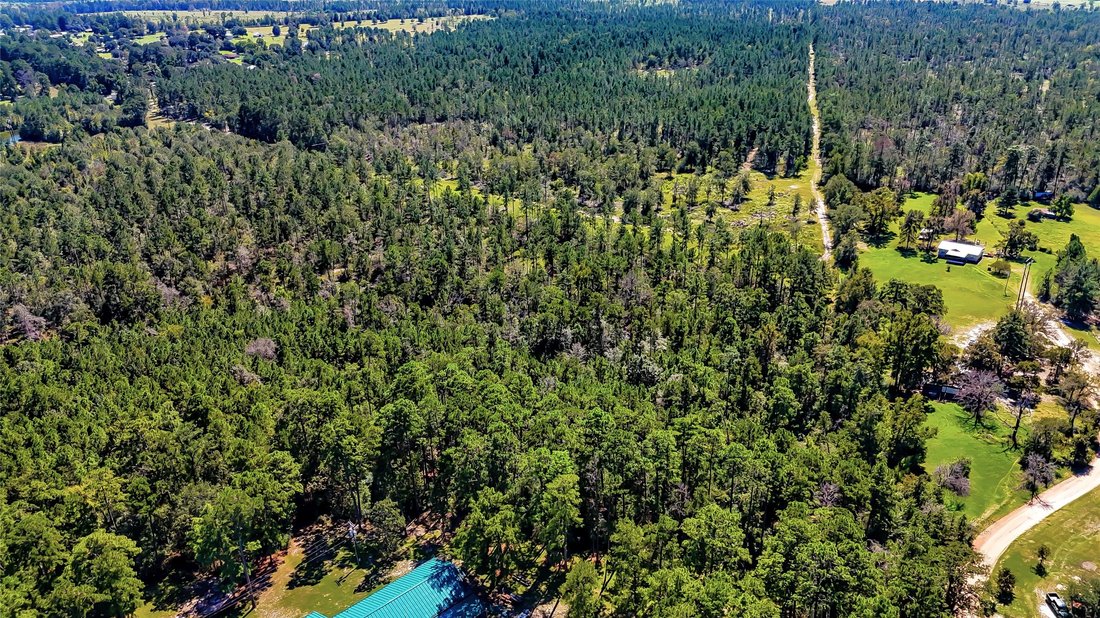 Land in Corrigan, Texas, United States 2 - 16551970