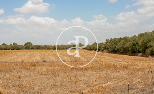 Land in Campos, Balearic Islands, Spain 1