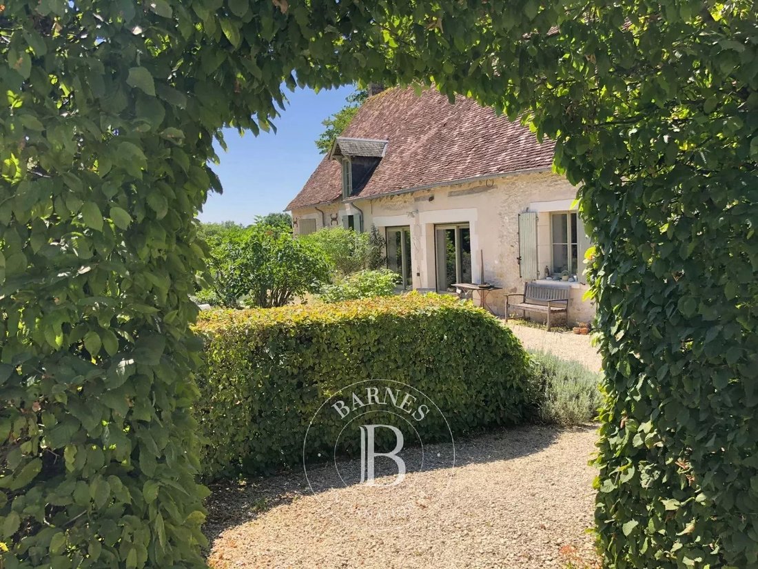 House in Saint-Martin-d'Auxigny, Centre-Val de Loire, France 5 - 16548574