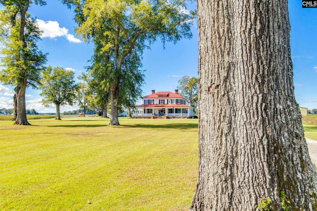 House in Bishopville, South Carolina, United States 3 - 16544804