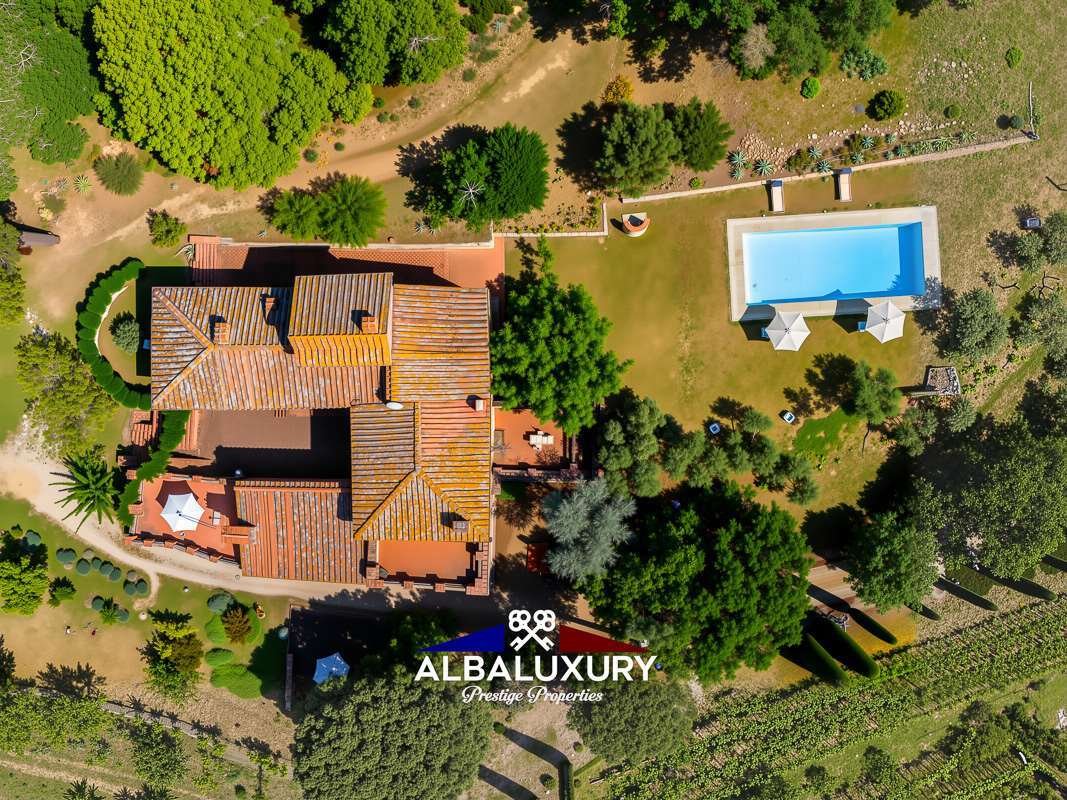 Villa in Sinalunga, Tuscany, Italy 5 - 16284990