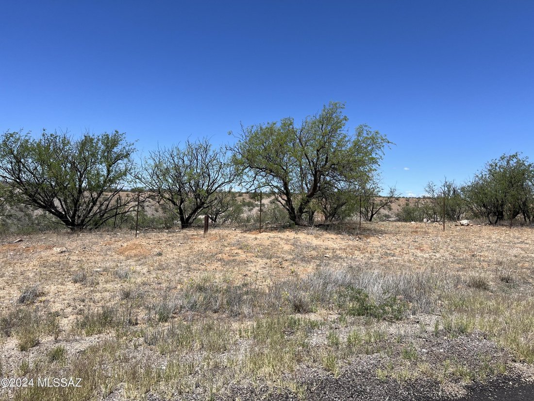 Farm Ranch in Nogales, Arizona, United States 1 - 16546185