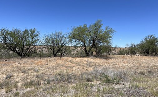 Farm Ranch in Nogales, Arizona, United States 1
