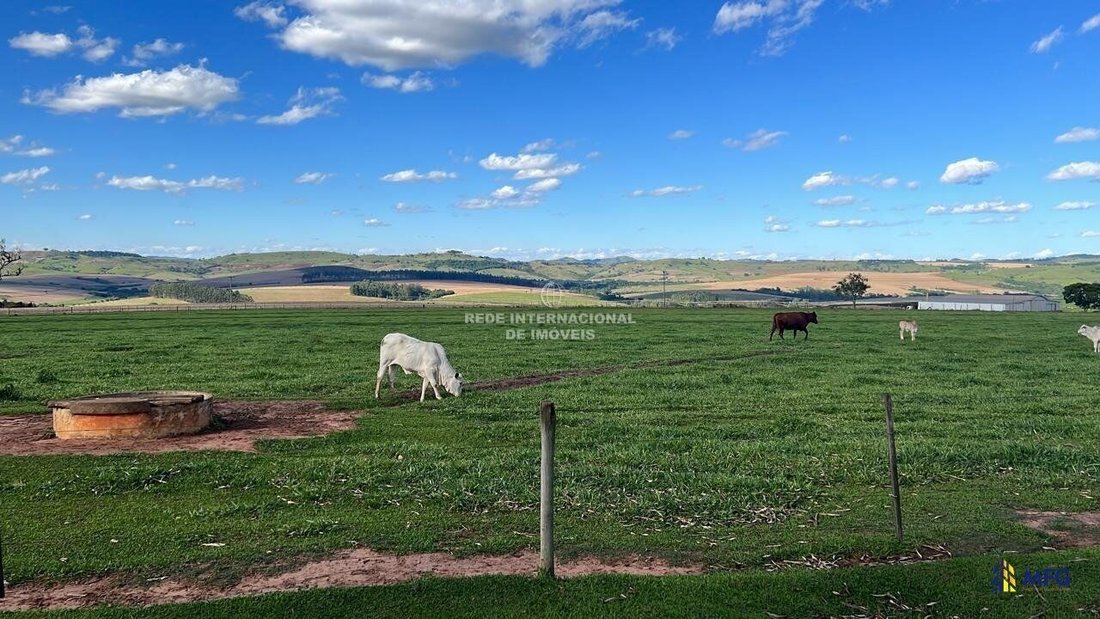 Farm Ranch in Coronel Macedo, State of São Paulo, Brazil 1 - 16549038