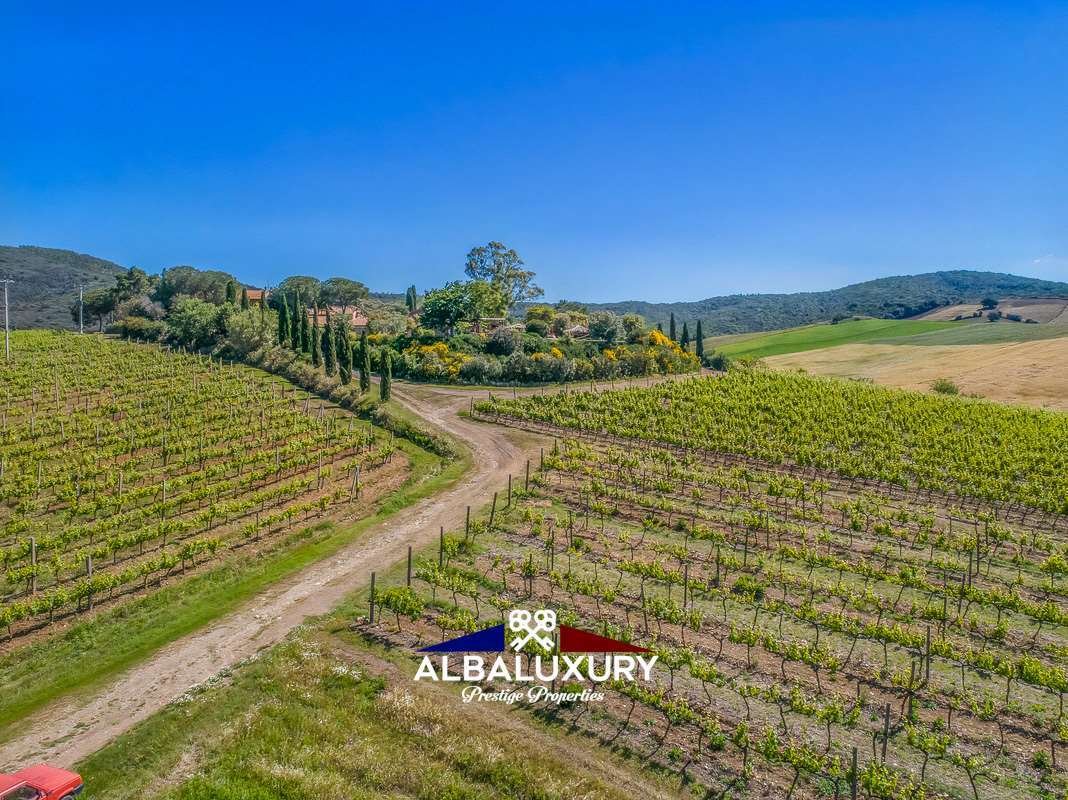 Villa a Magliano in Toscana, Toscana, Italia 5 - 15347323