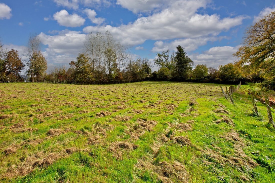 Farm Ranch in Bickington, England 5 - 16546834