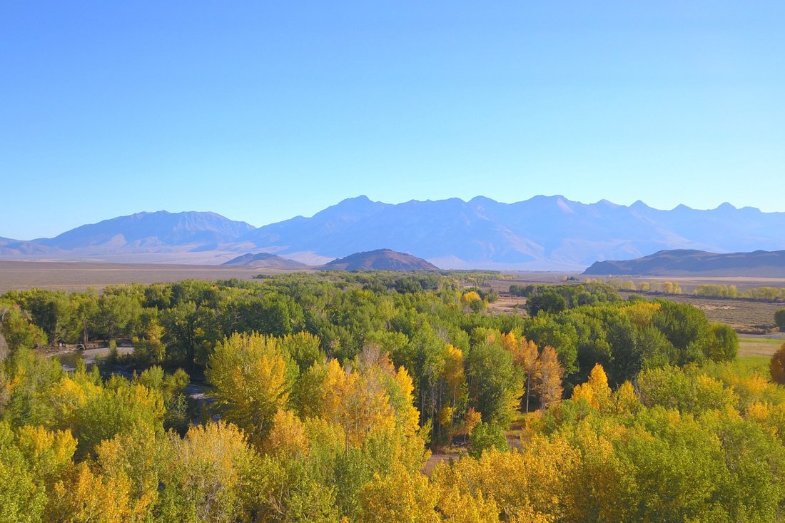 Land in Mackay, Idaho, United States 1 - 16549085