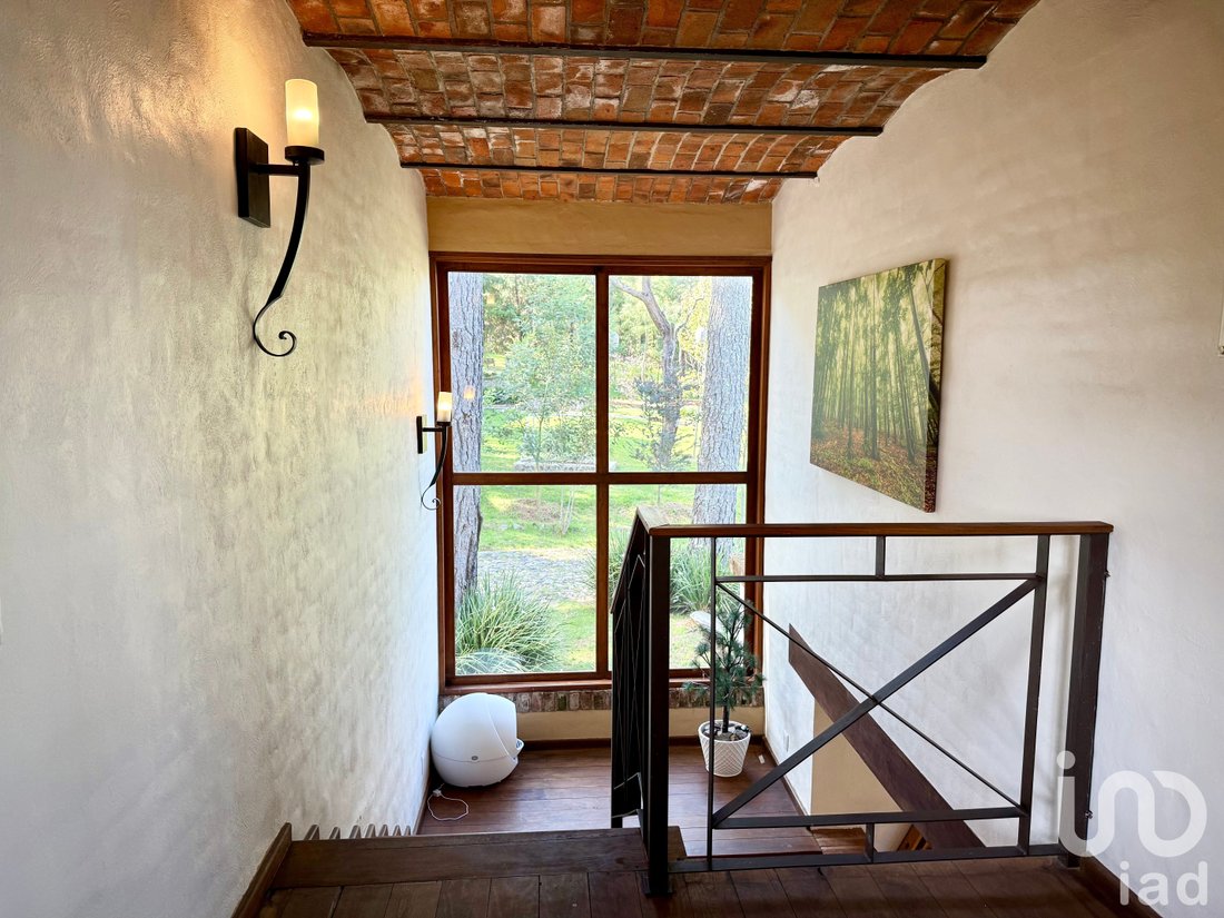 House in Amacueca, Jalisco, Mexico 4 - 15804088