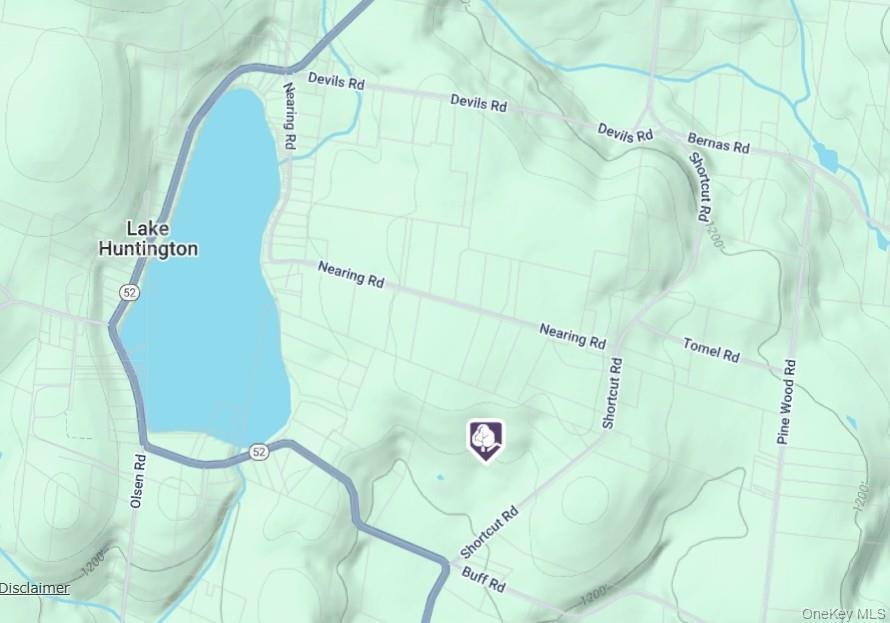 Land in Cochecton, New York, United States 5 - 16405551