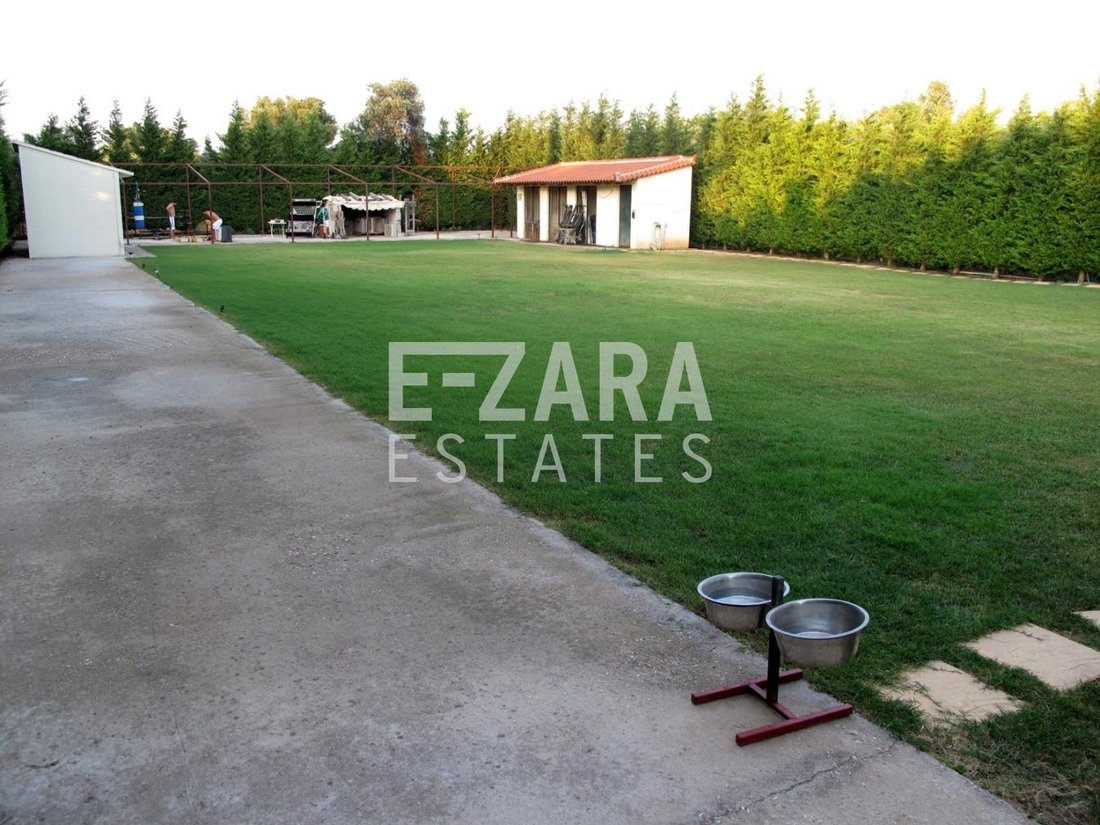House in Marathonas, Attica, Greece 2 - 16548261