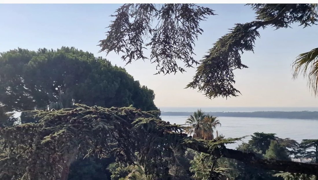 Apartment in La Californie, Cannes, France 3 - 16554169