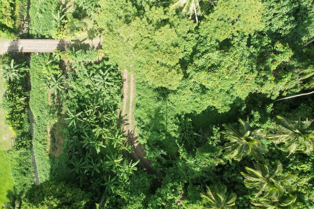 Land in Moorea-Maiao, French Polynesia 5 - 16554648