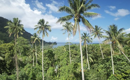 Terreno a Moorea-Maiao, Polinesia Francese 1